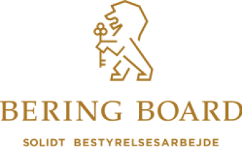 BERING BOARD logo