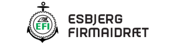 EFI-Hallerne logo
