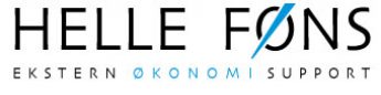 Helle Føns Ekstern Økonomi Support logo