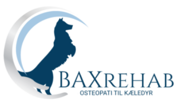 BaxRehab logo