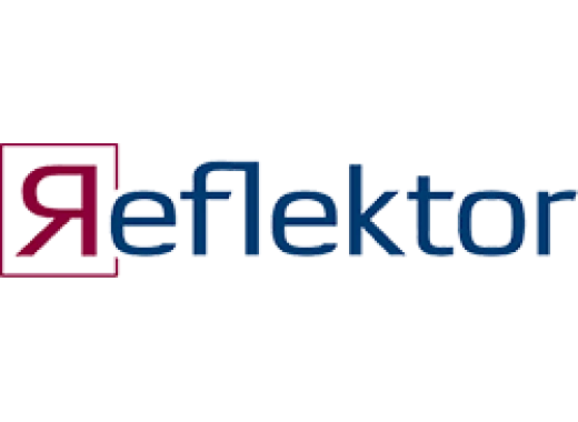 29146012 Reflektor Ap S