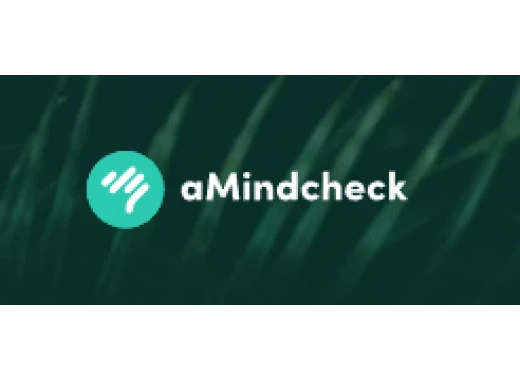 44722984 a Mind Check Ap S