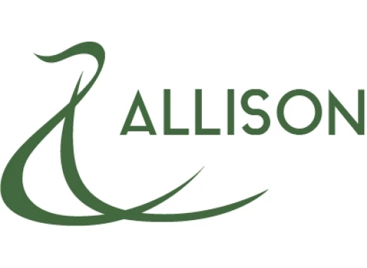 13216002 Allison AS