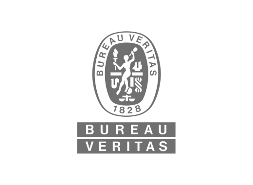 16930431 Bureau Veritas Denmark AS