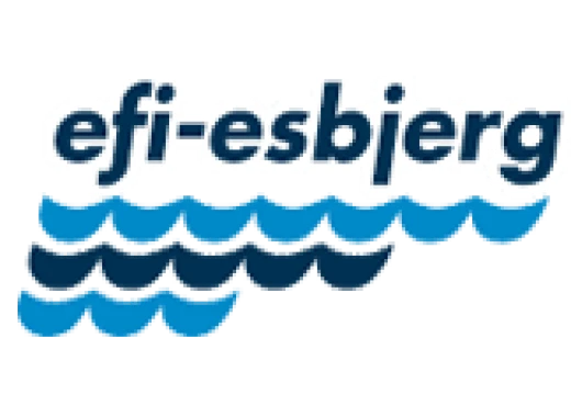 45315312 EFI Esbjerg