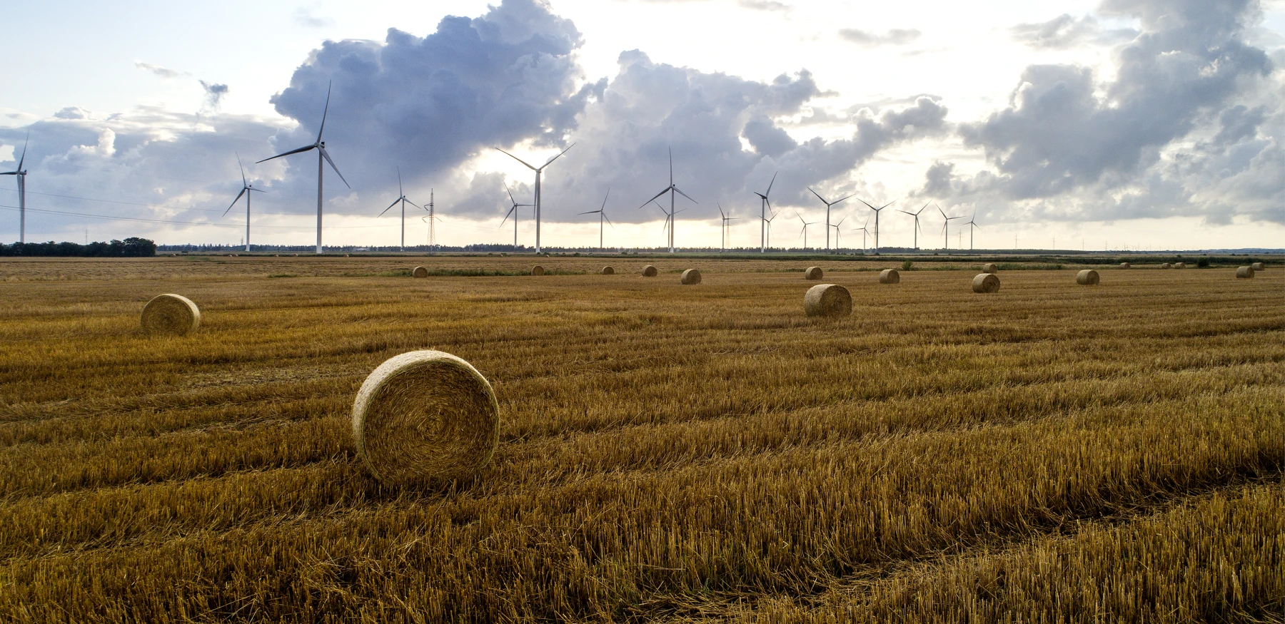 Energistyrelsen1 jpg