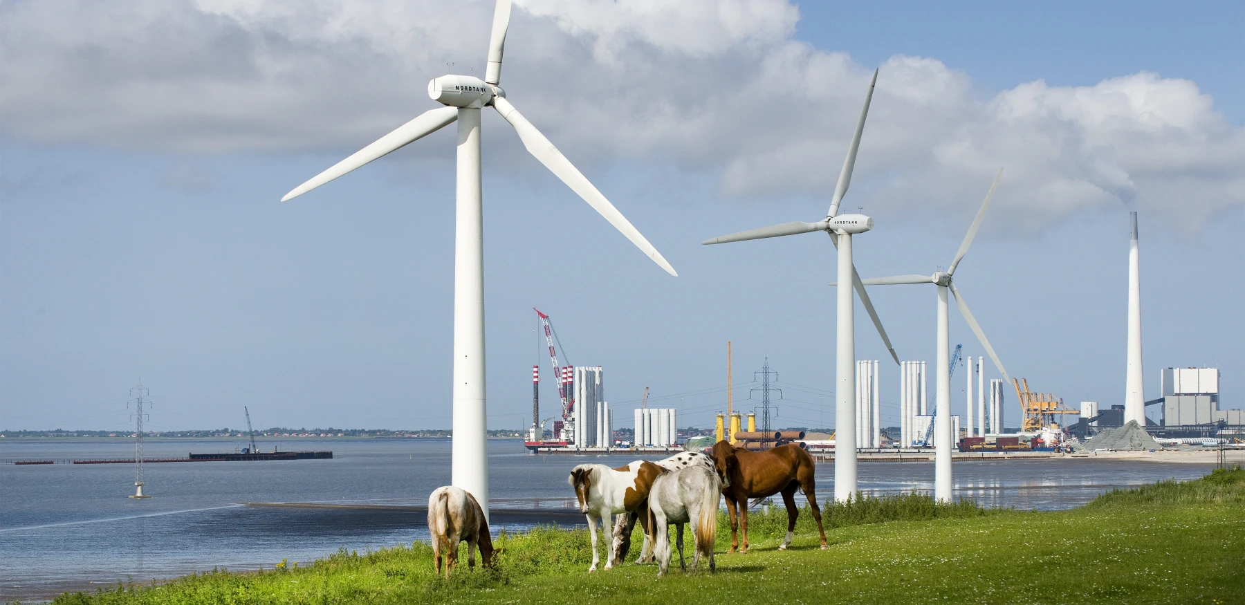 Vindmøller Esbjerg Hyhistoriske Arkiv 1