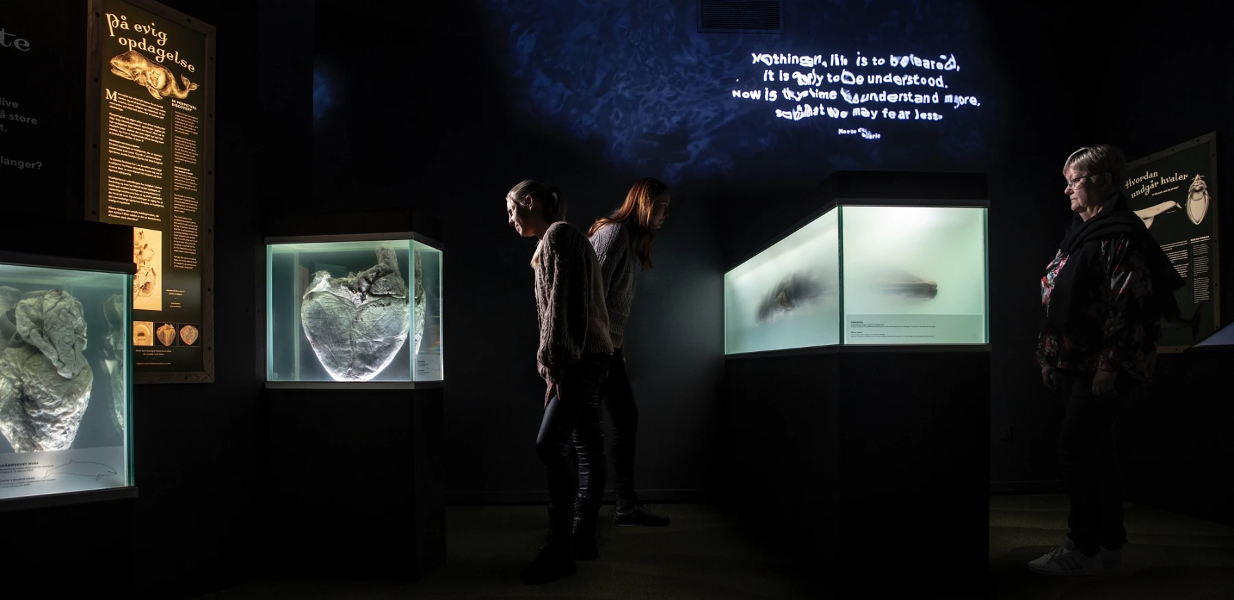 WEB Havets Mysterier 036