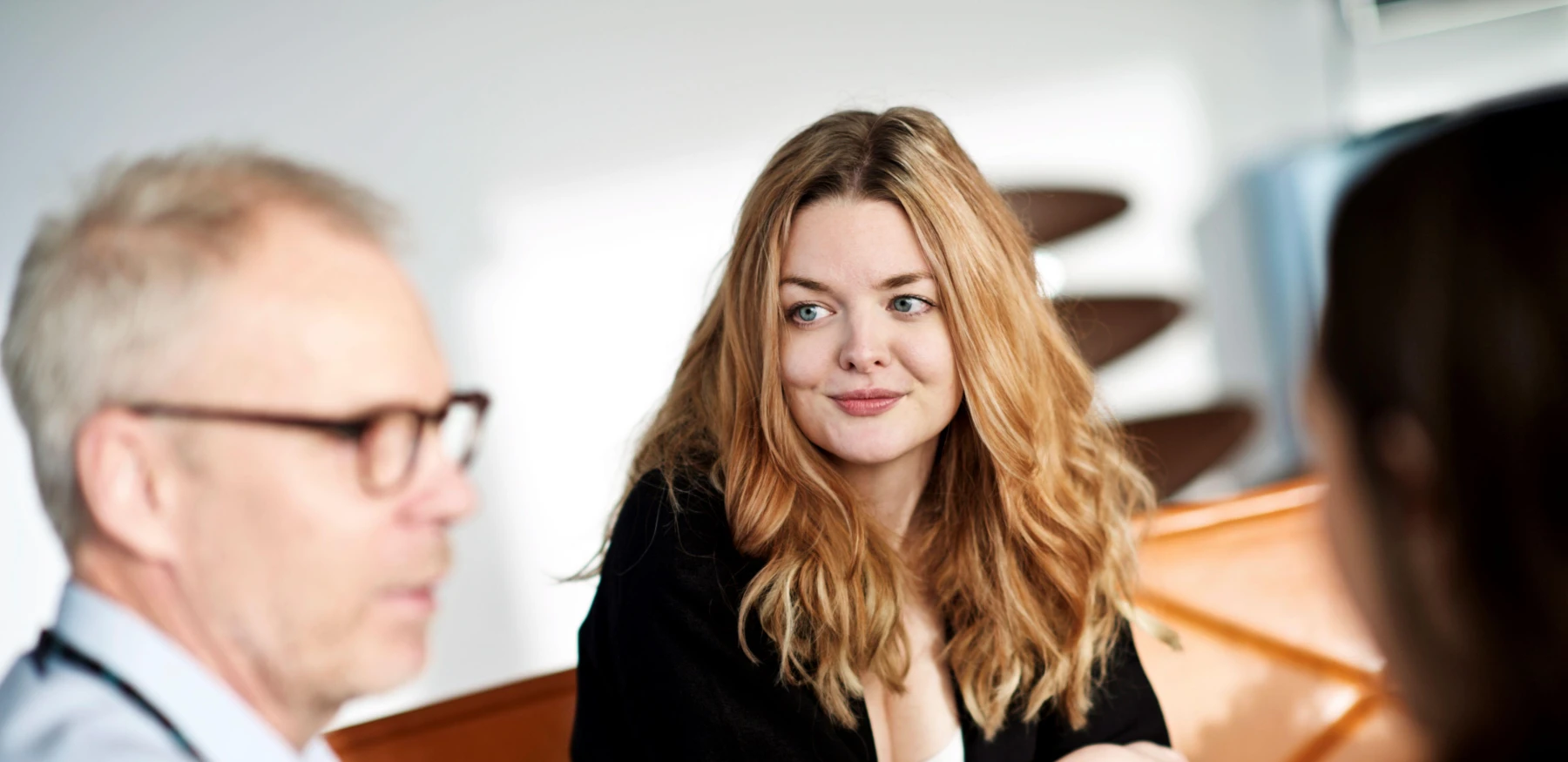 Generationsskifte_Karriere og praktik_SBE